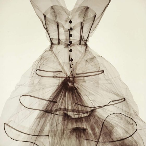 Nick Veasey's X-ray of couture bodice and skirt| Irene’s Dry Cleaning