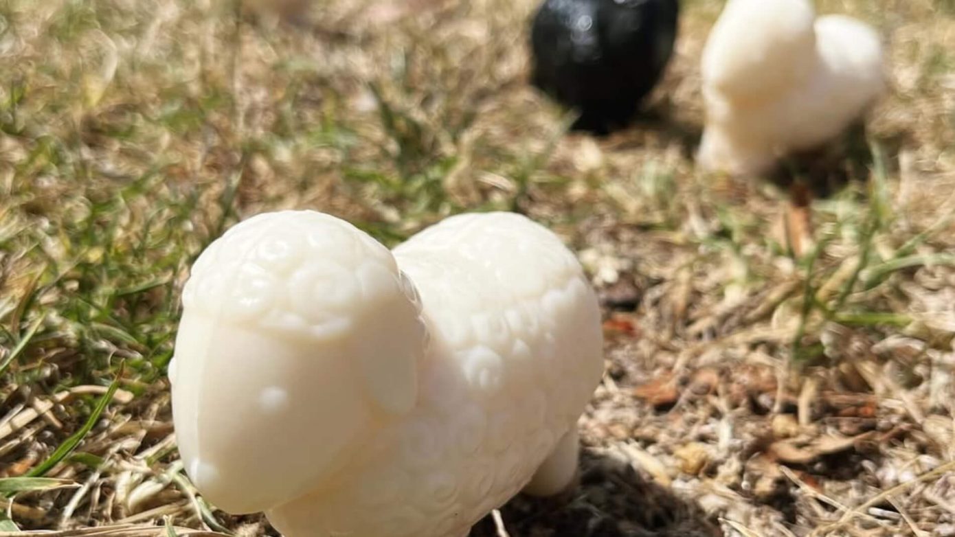 Sheep milk soap | Irene’s Dry Cleaning