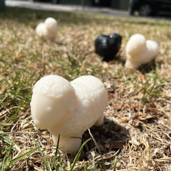 Sheep milk soap | Irene’s Dry Cleaning