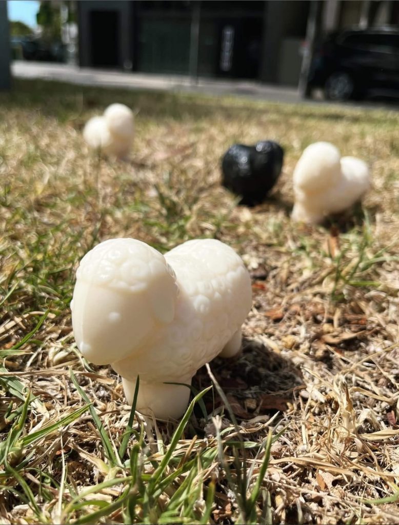 Sheep milk soap | Irene’s Dry Cleaning