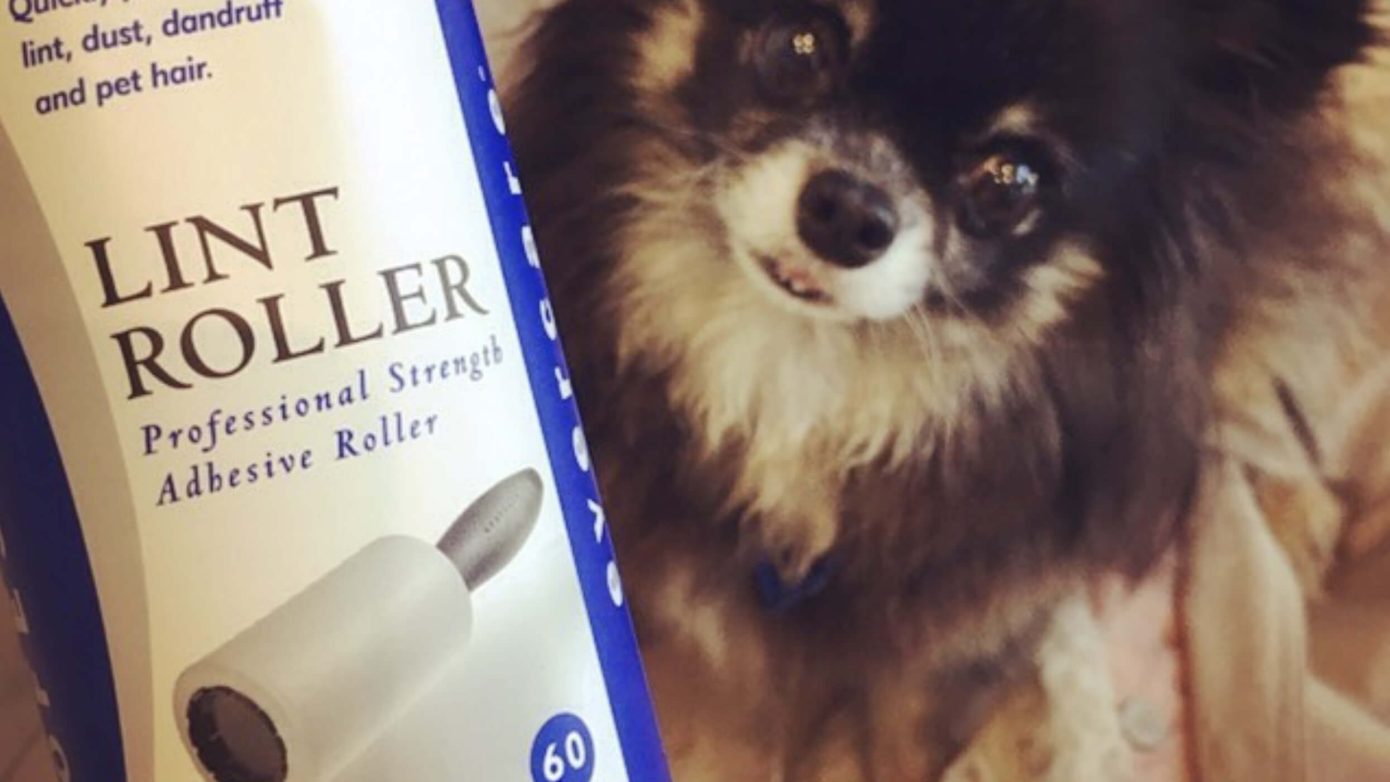 Lint rollers | Irene’s Dry Cleaning