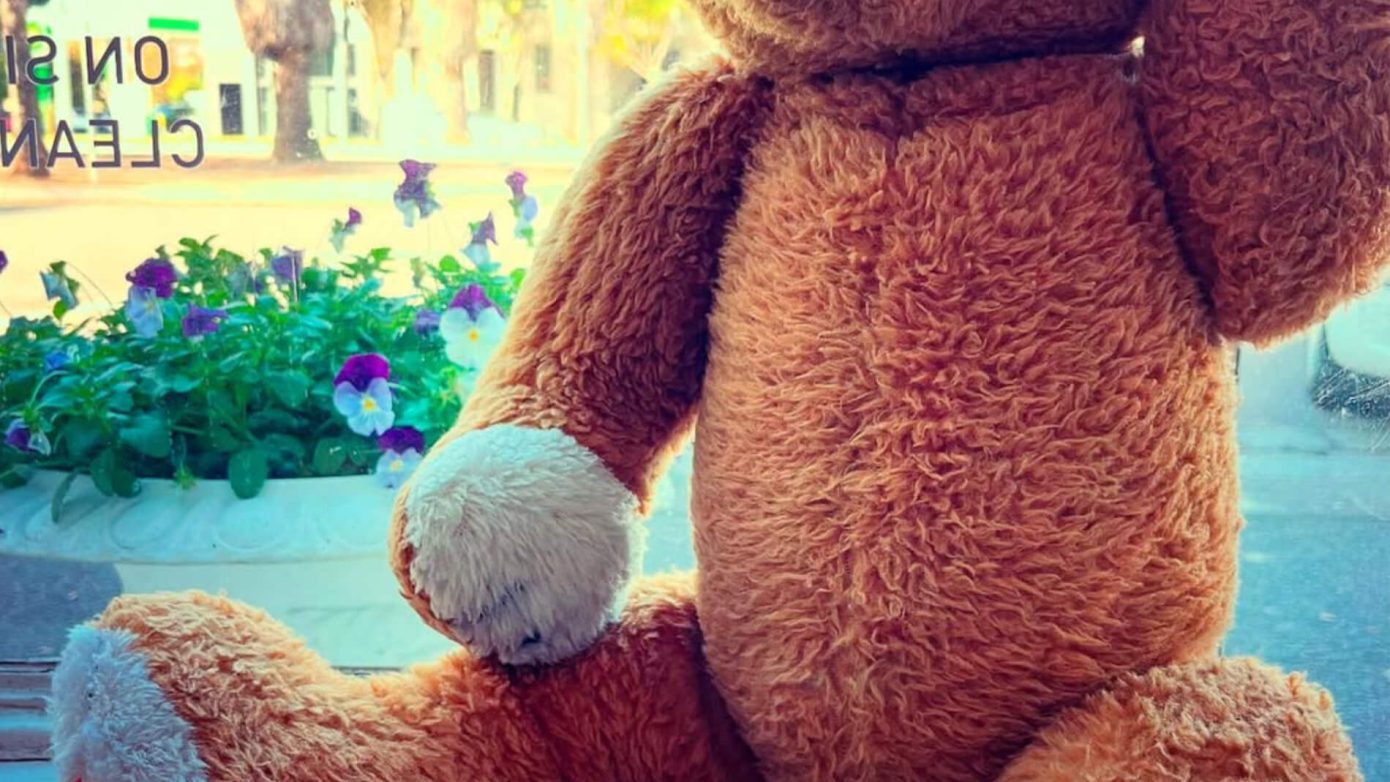 natural bacteria & virus destroying, ozone sanitising & deodorising service | Irene’s Dry Cleaning