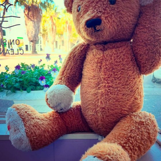 natural bacteria & virus destroying, ozone sanitising & deodorising service | Irene’s Dry Cleaning